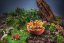 Adventure Menu | Mac and Cheese Kids MRE