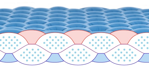 Pinguin | Wave - Farba: Green, Veľkosť: L