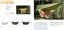 TTTM | Convertible Bug Net 360 - Farba: Black