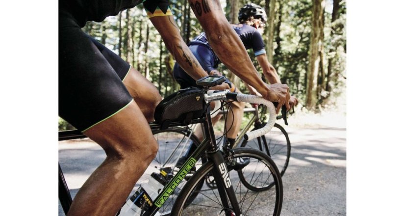 TOPEAK taška na rám FUEL TANK Large